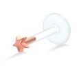 Star Shaped Labret Silver LA-187